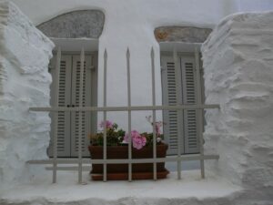 window_11